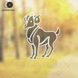 Birthsign Aries / Mesh